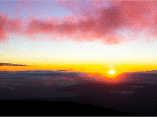 Präsenz-Veranstaltung im März 2026